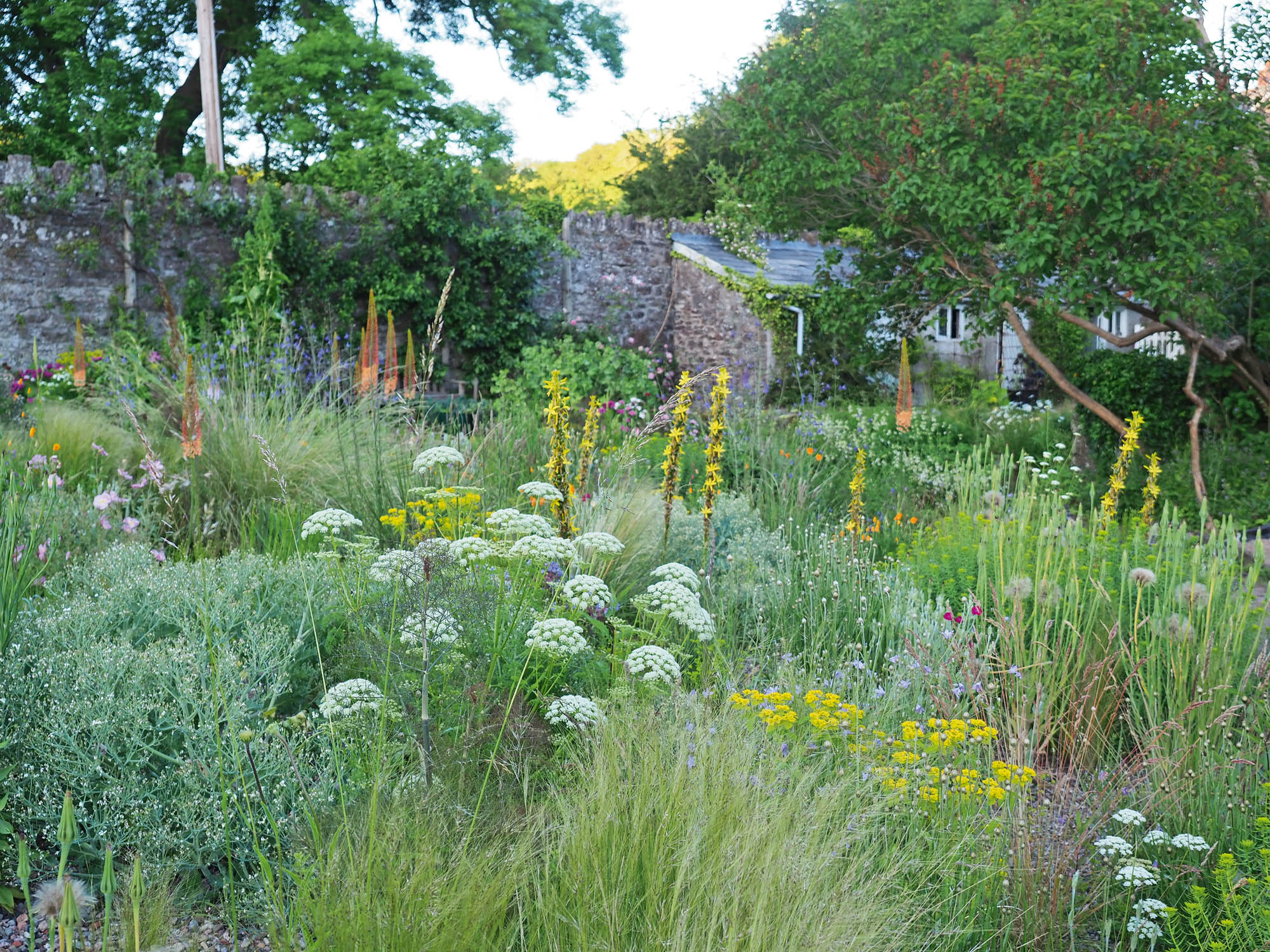 Sarah Price, one of Britain’s great garden designers, takes Country Life round her own garden