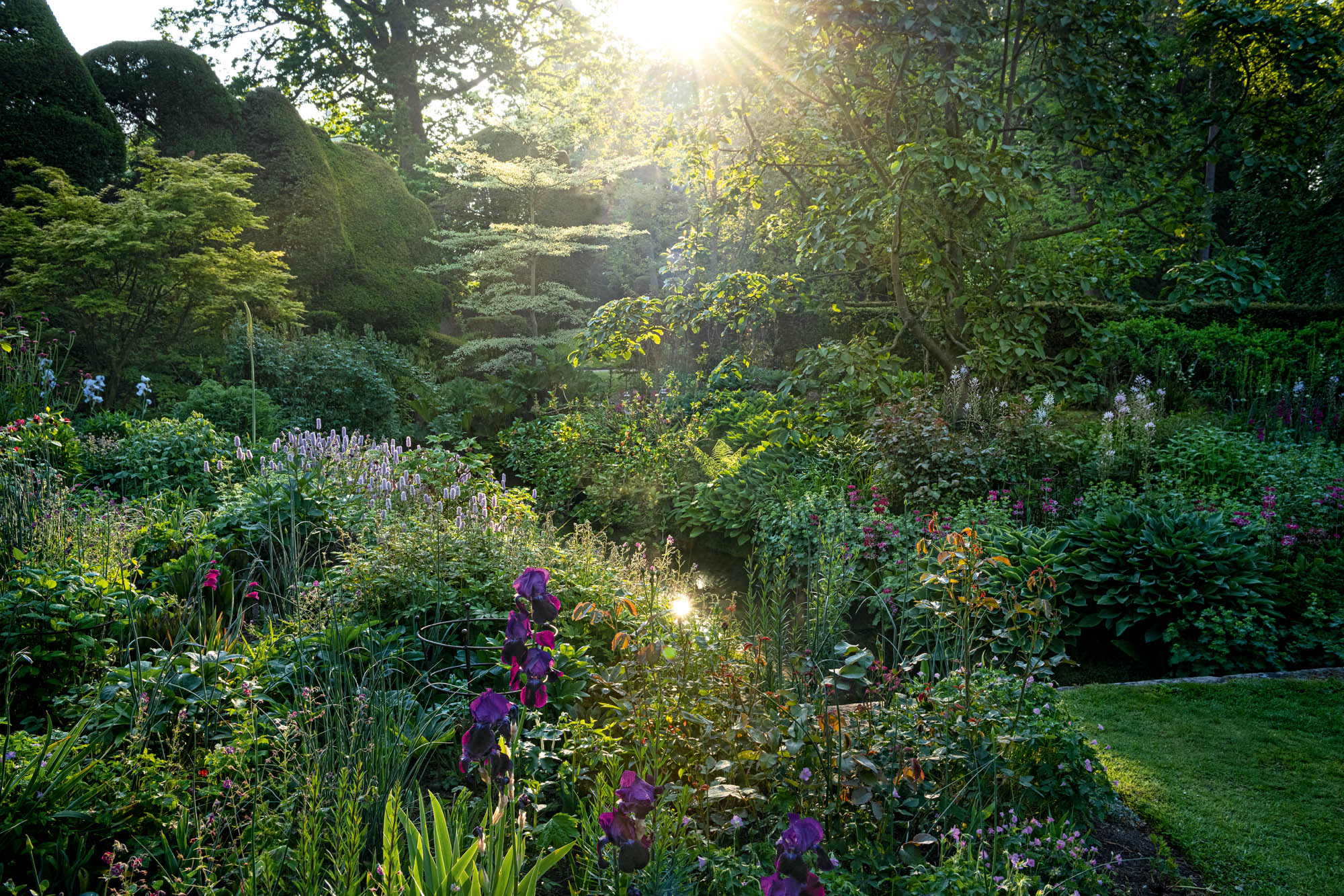 The gardens of Melbourne Hall: A spectacular outdoor space 500 years in the making