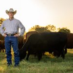 Are consumers ready to replace beef from cattle?