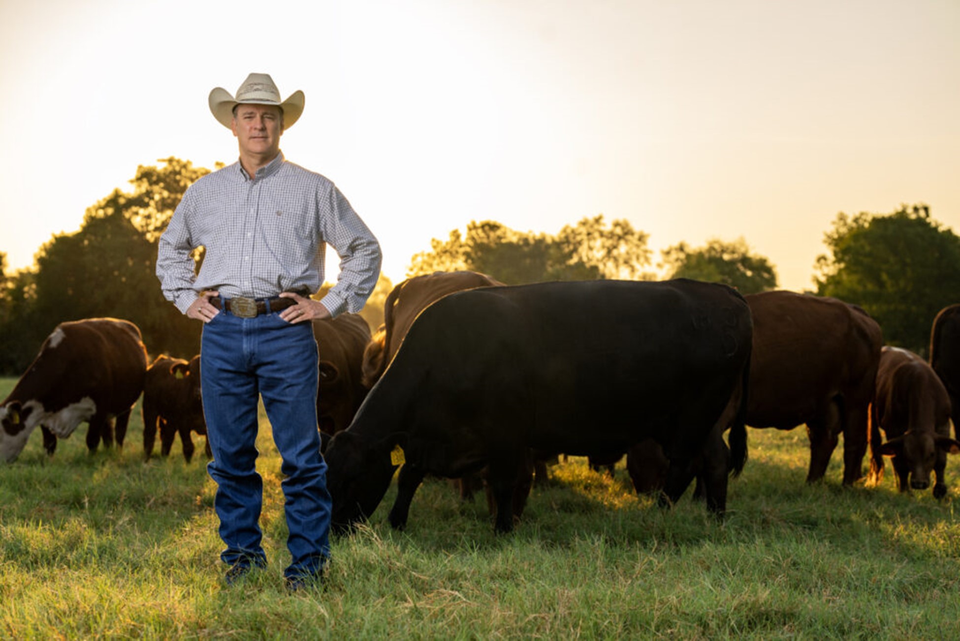 Mathis selected to lead Texas A&M Department of Animal Science