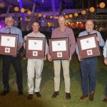 Heavy cattle firm at Gracemere