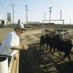 UNL hosts U.S. Meat Export Federation Global Processing Workshop