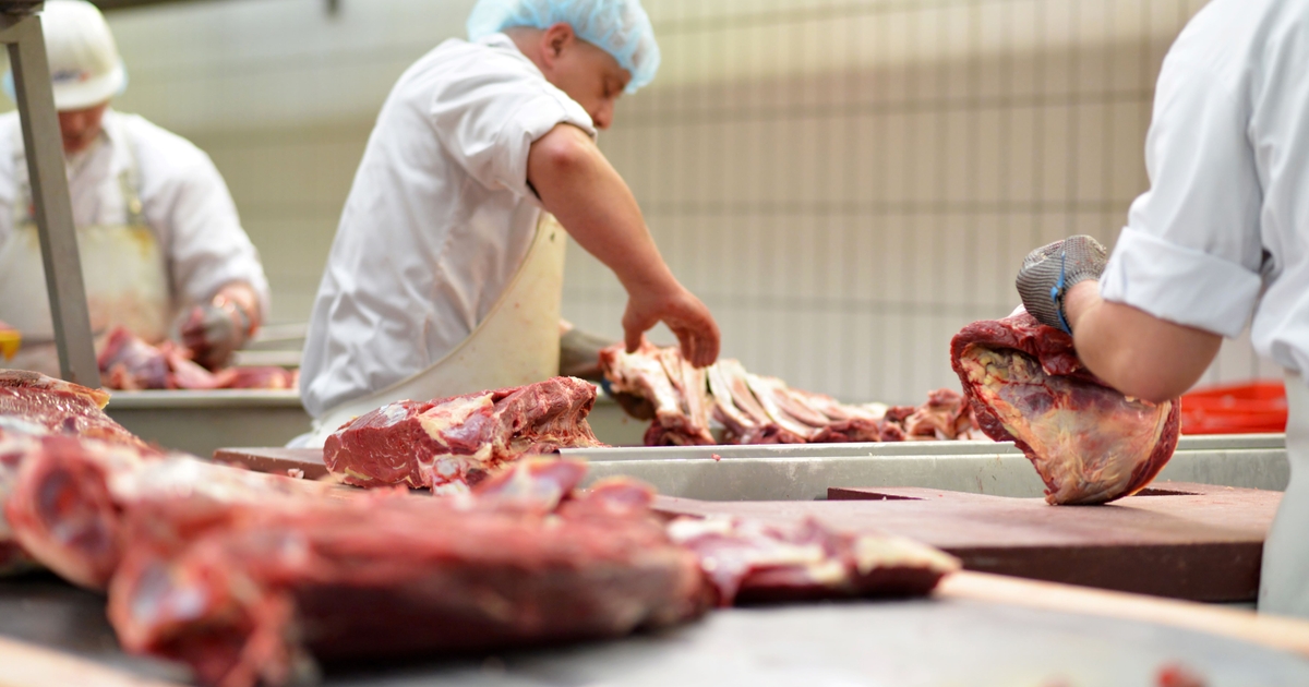 Meat Institute names 2024 Emerging Leaders