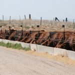 UNL hosts U.S. Meat Export Federation Global Processing Workshop