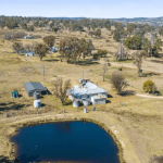 Dubbo sale 3 August 2023: Young cattle firm