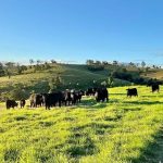 NFF calls on Canberra to turn around agriculture’s productivity slump