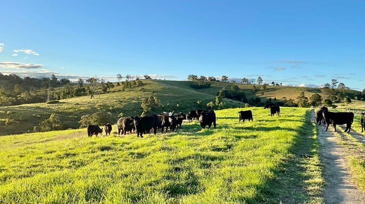 Concerns Govt proposal could mean mandatory climate disclosure for farmers