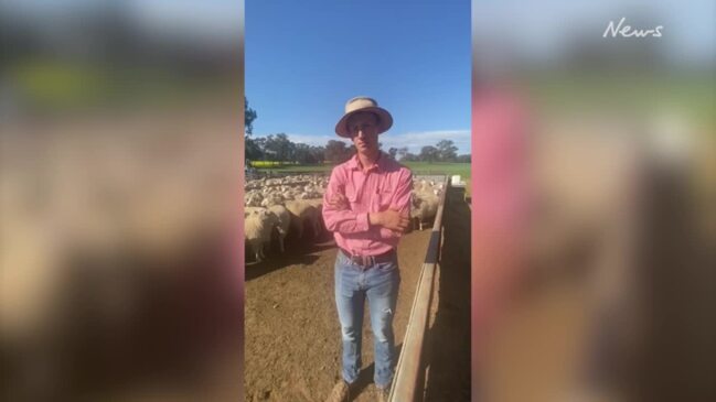 Insights about the state of Australia’s lamb market