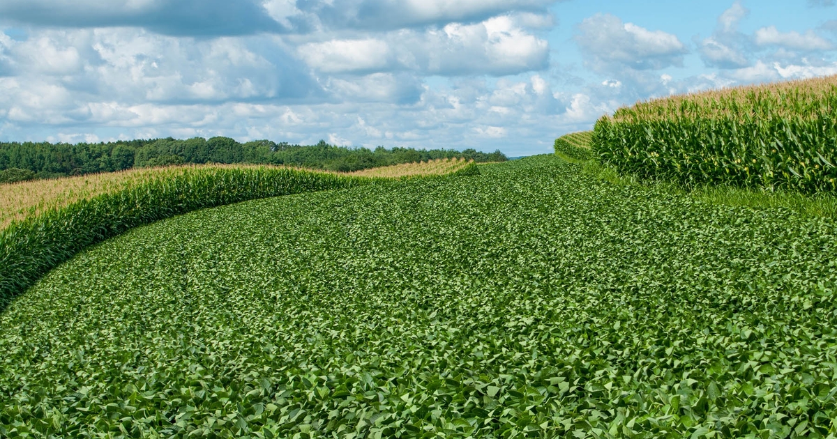 Farm Progress America, August 14, 2023