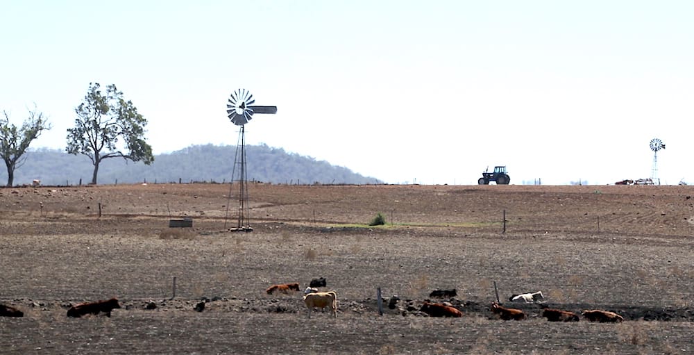 Federal Govt announces $37m for drought research