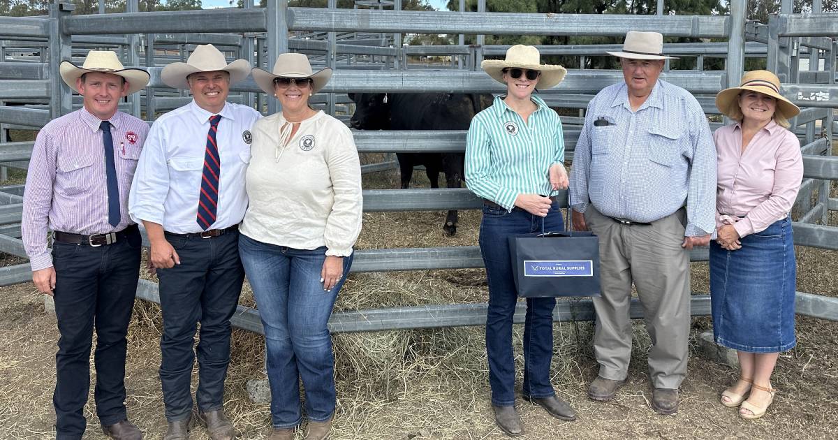 Marcella bull sale buoyed by south west commercial cattlemen