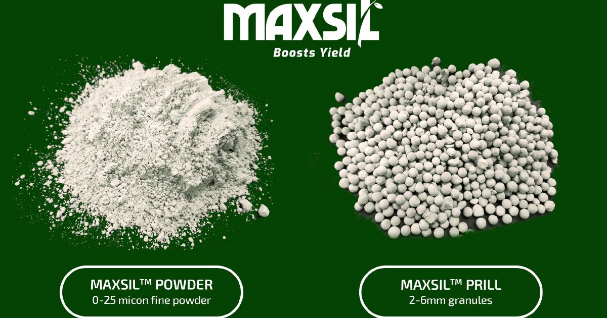 Trials show results from MaxSil nutrient | Farm Weekly