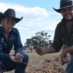 Mundarlo Angus top at $8000, heifers $3550 | The Land