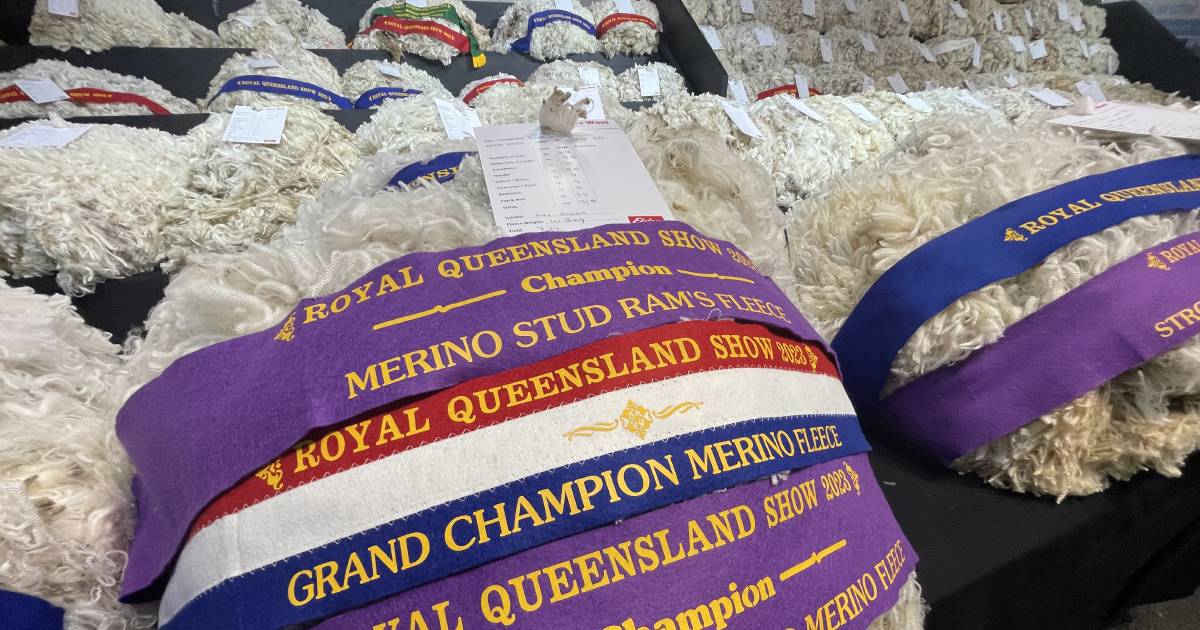 Mt Ascot clips the competition at Ekka wool