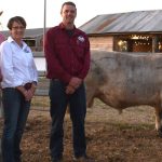 Volume buyers underpin Ironbark Hereford's 50th annual sale