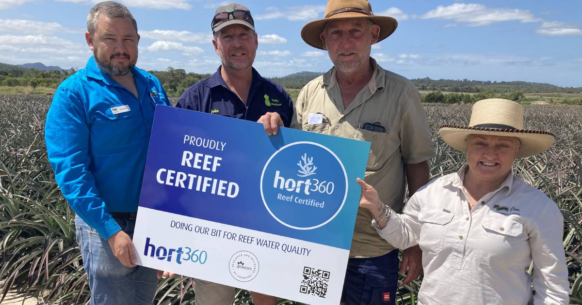 Horticulture learns from sugarcane regulation with industry-led reef certification | North Queensland Register