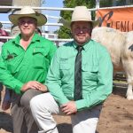 Wakefield Charolais bull tops at $14,000