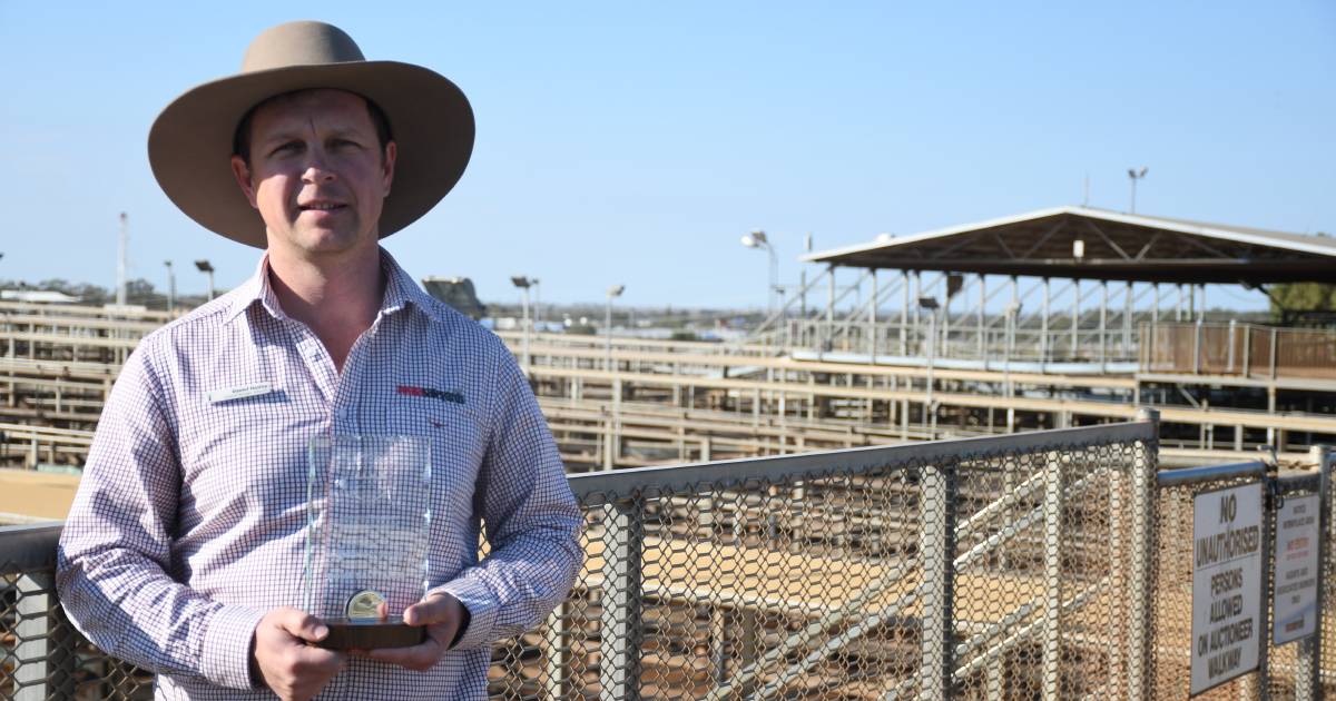 Saleyards "powerhouses" need to be maintained