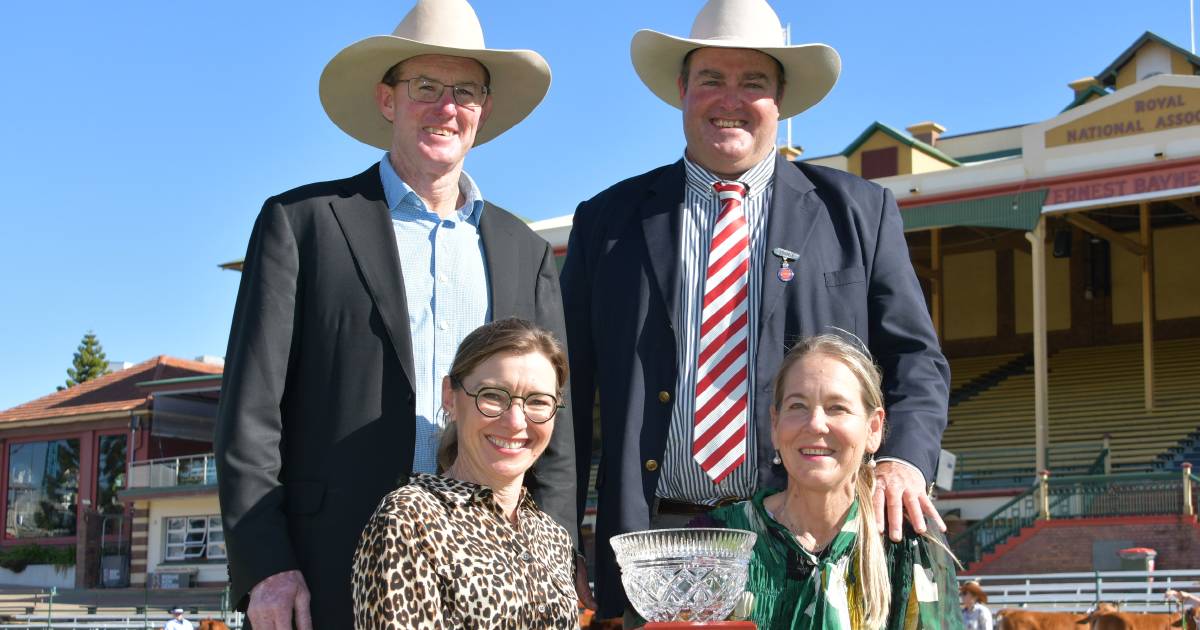 Morgans' Shorthorns impress at RNA Paddock to Palate