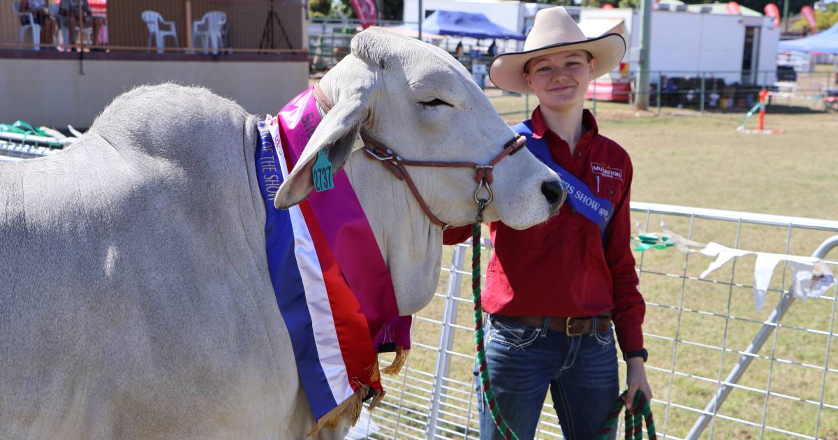 Cattle return to Charters Towers Show for first time since 2016