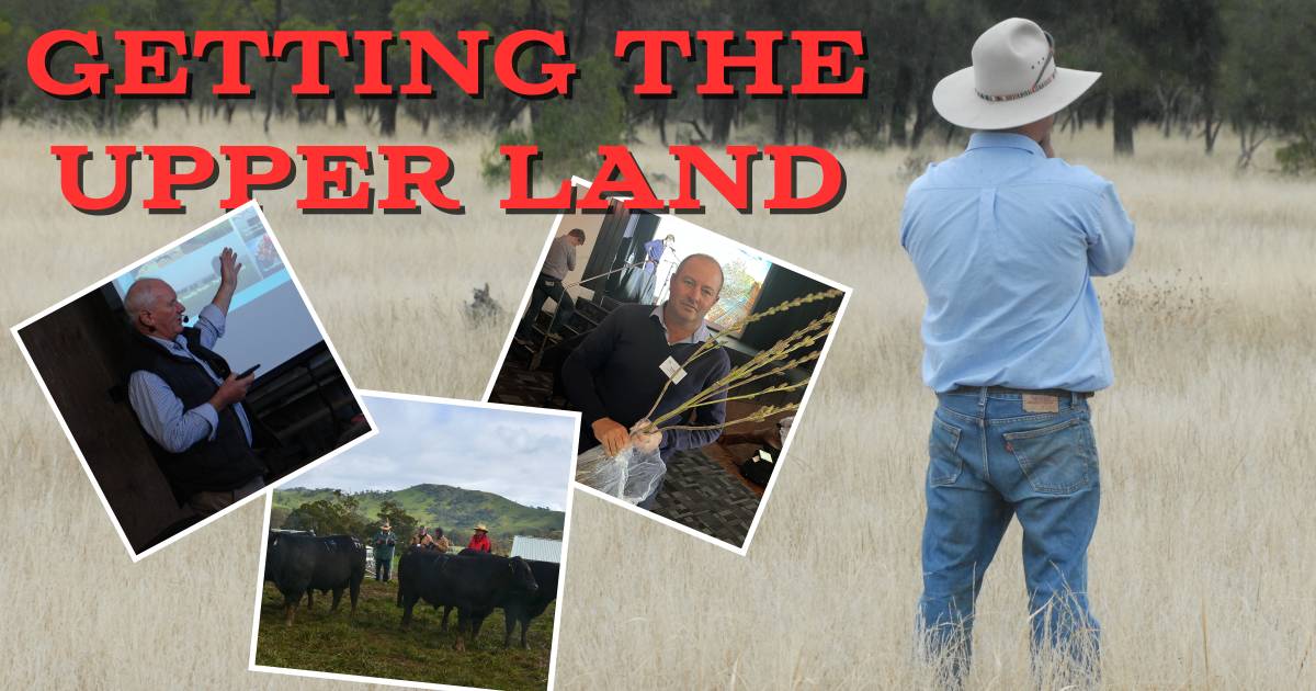 Renewable energy issues, buying in person, the high growth of sesame, and uniting the red meat industry: Getting the Upper Land episode seven | The Land