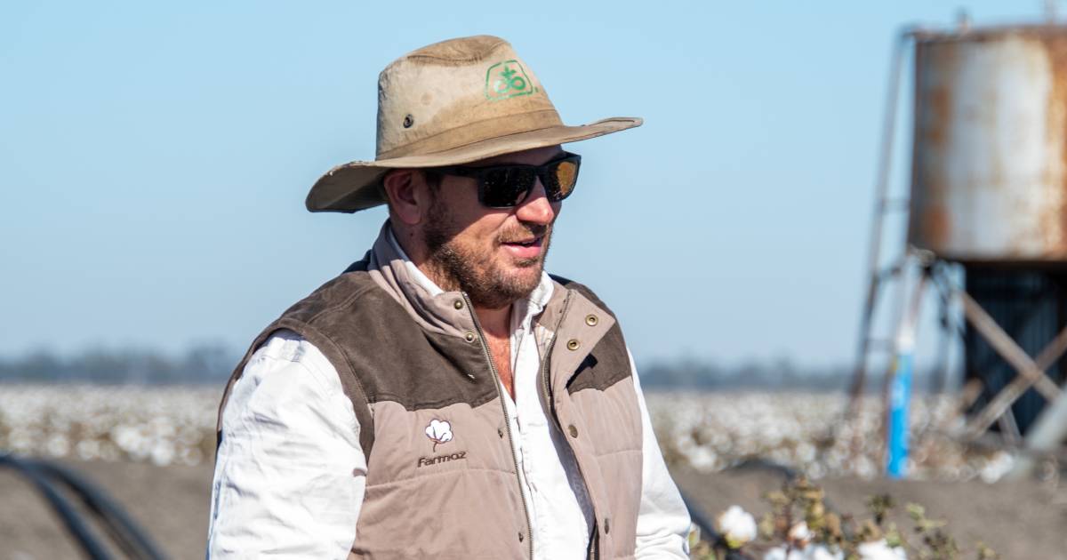 Dan’s agronomy background places Skerman family on front foot | Queensland Country Life