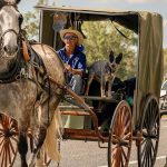 World Angus forum heading to Brisbane