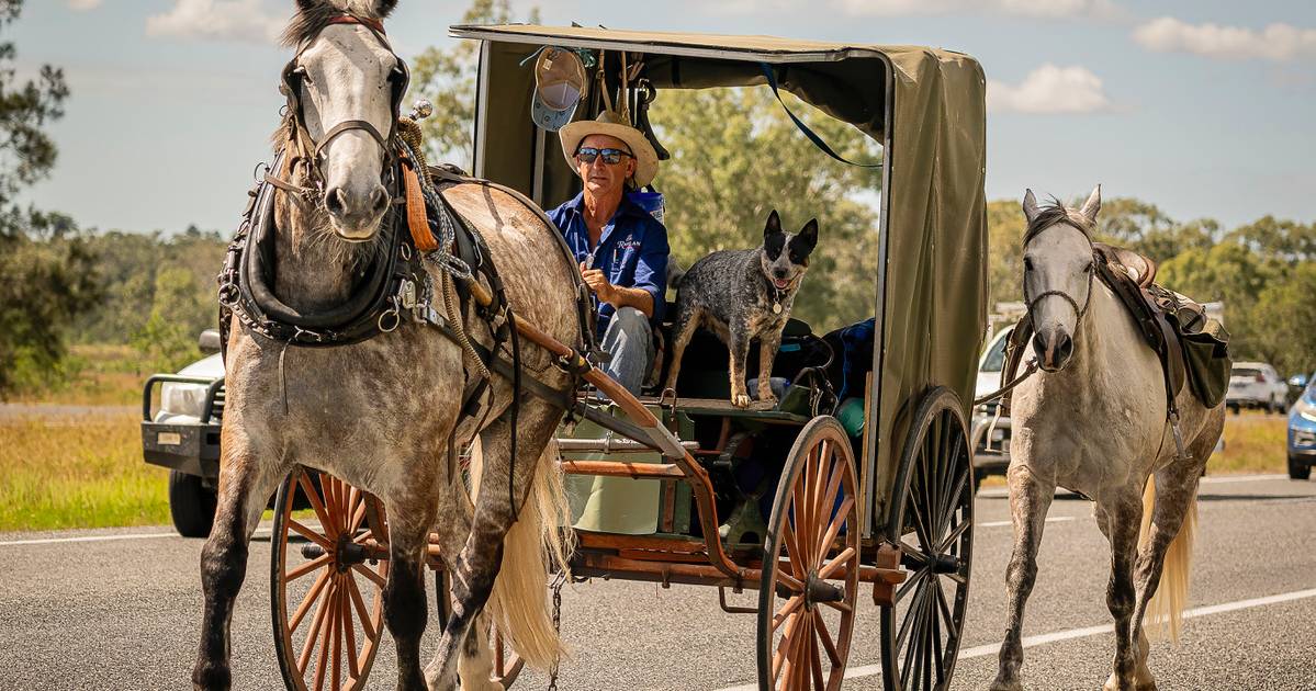 Horse trainer ends 2600km stock route trip with horse and cart in Rocky