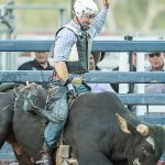 Katherine bullrider Darcy McBean claims coveted bull buckle | North Queensland Register