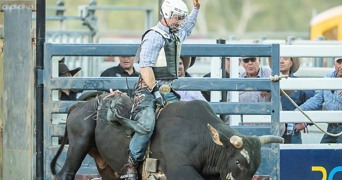 Katherine bullrider Darcy McBean claims coveted bull buckle | North Queensland Register