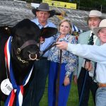 Carcoar cows with calves hit $1760 high