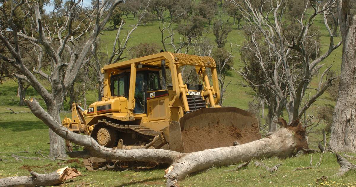 Labor considers move to ban all land clearing