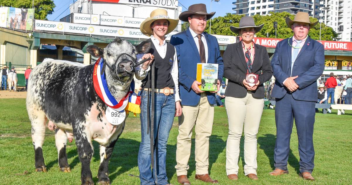 EKKA 2023: Celamba Unicorn and KJ Hill Adena share grand champion Speckle Park win | Queensland Country Life