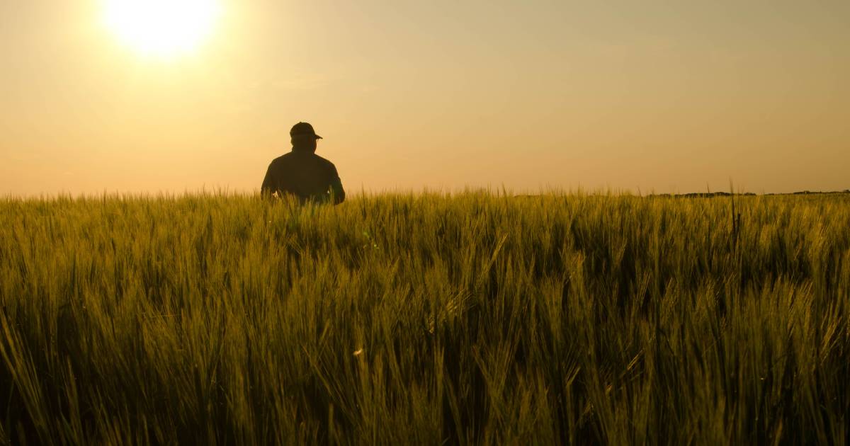 The future of agriculture is now and our young people want a seat at the table: Robbie Sefton | The Land