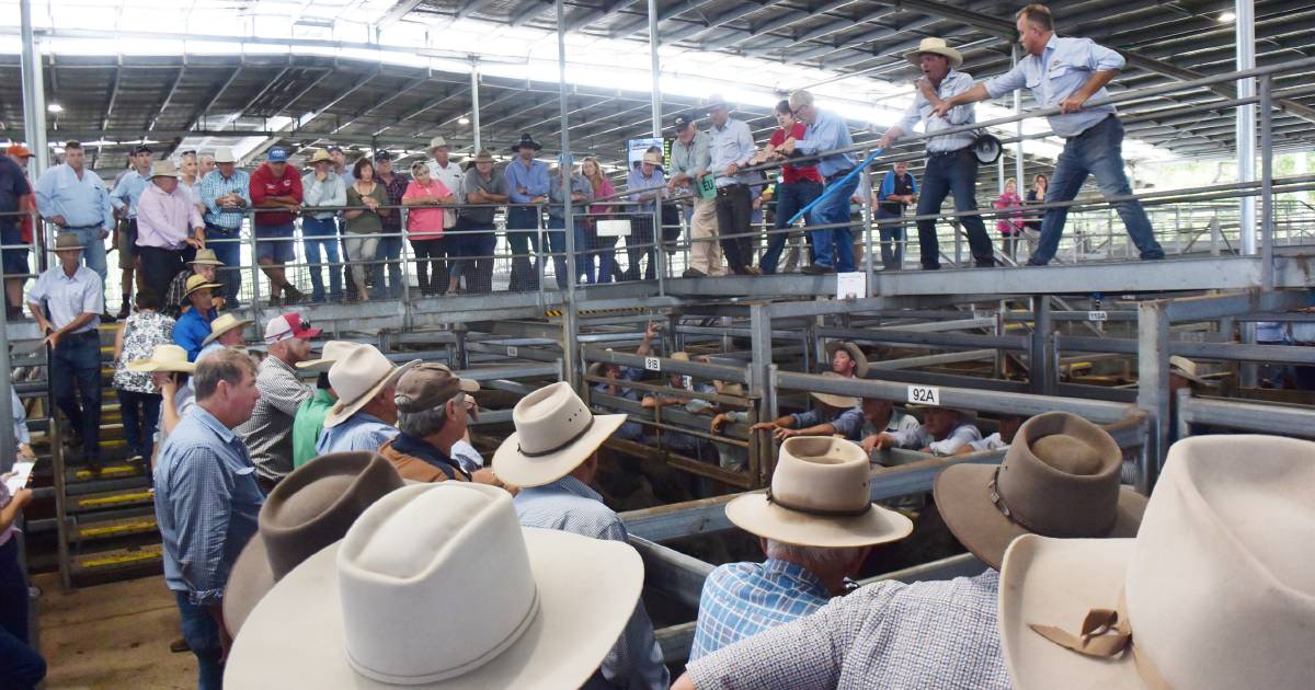 Saleyards stoush continues in tit-for-tat over money and conditions | The Land