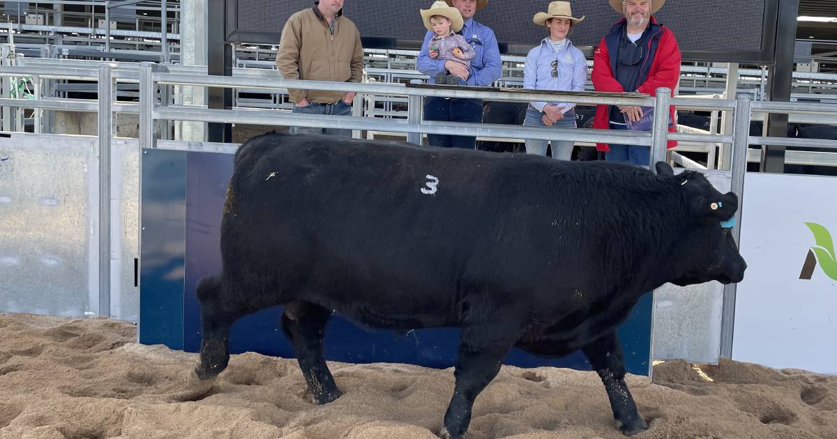 Hazeldean's $18,000 sale top at Tamworth