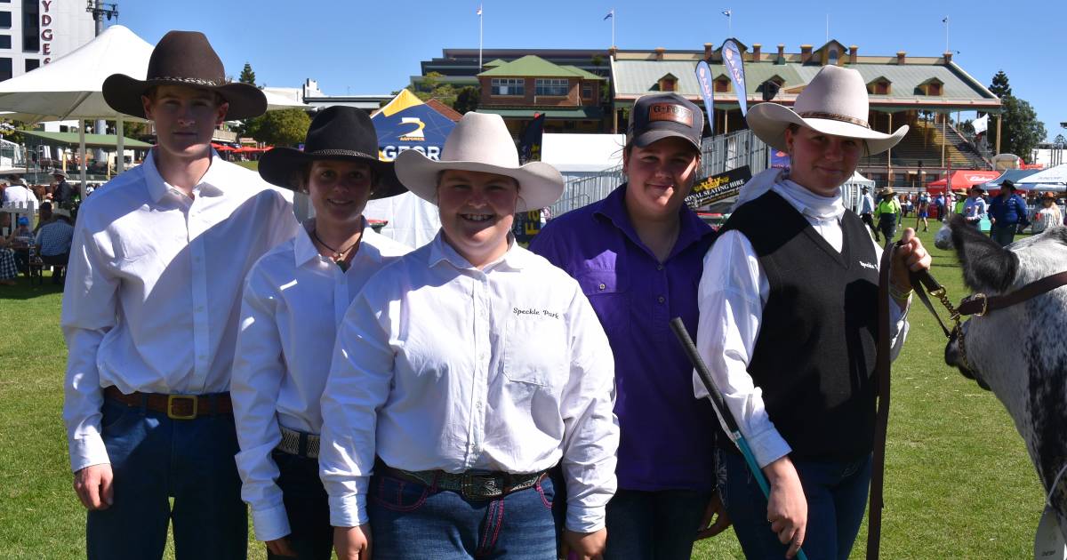 Ekka 2023: All the snaps from the Speckle Park stud judging | Queensland Country Life