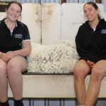 Jackie Jarvis defends live sheep trade submission | Farm Weekly