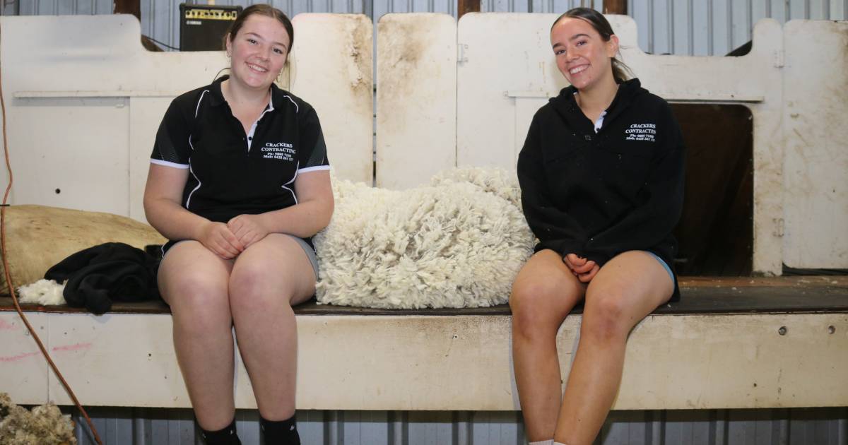 "Who wants to work in a shearing shed?"