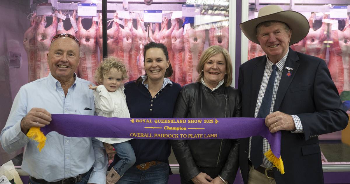 Bellevue sweeps field at Ekka prime lambs