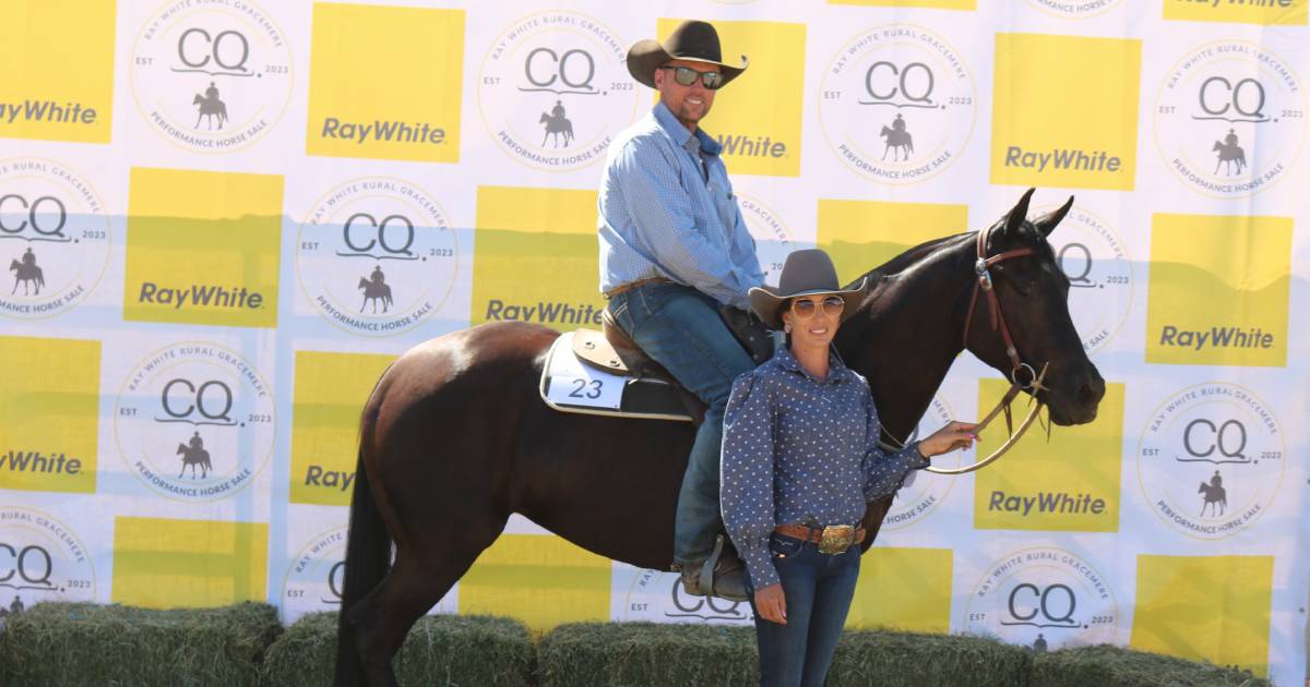 Ray White Rural’s Paradise Lagoons Horse sale – a first up success | Queensland Country Life