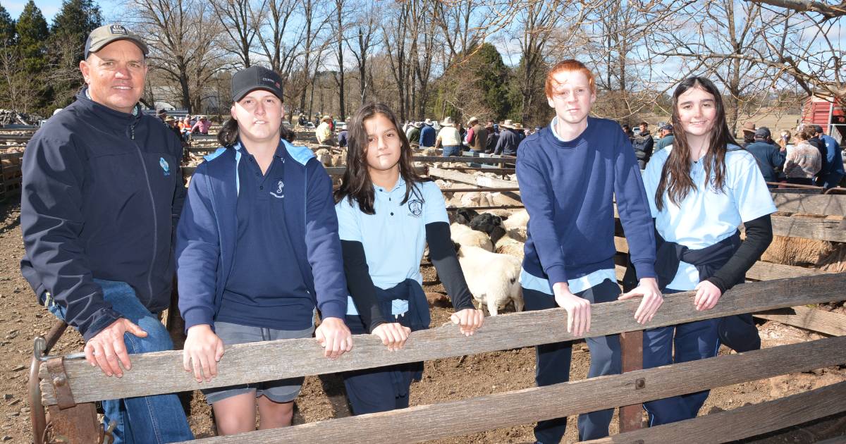 Woolgoolga High School students get a taste of Guyra sheep and lamb sales