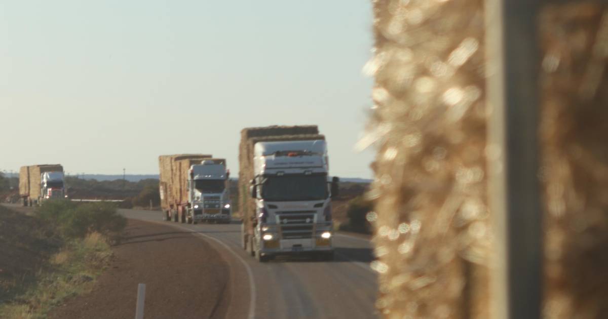 Livestock and Rural Transport Association welcomes more driver facilities | Farm Weekly