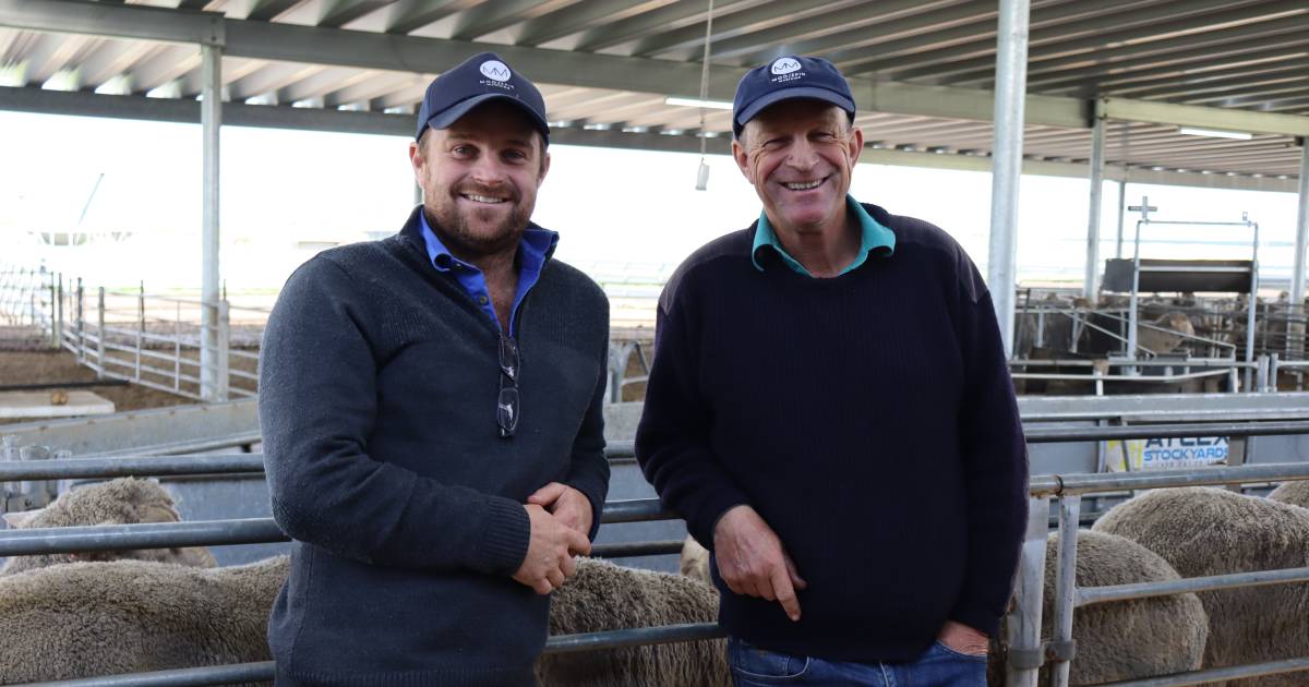 Moojepin Merinos host industry open day at Katanning | Farm Weekly