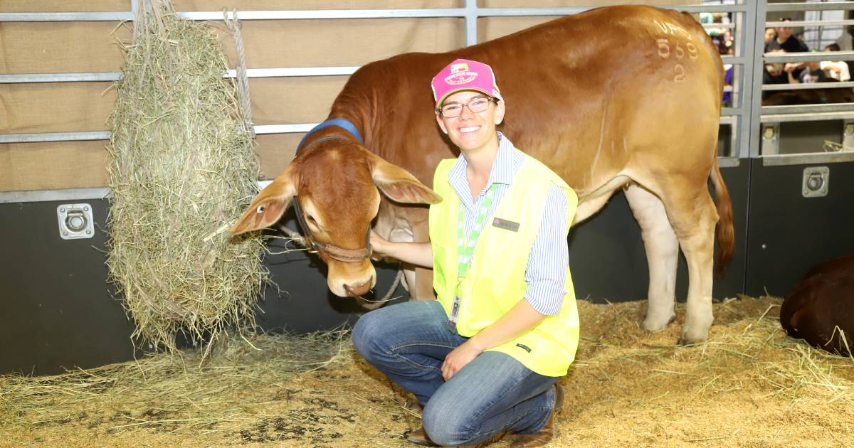 QCL Showgirl Sarah Rose back in familiar role as vet, at the Ekka | Queensland Country Life