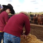 Vale Hunter farmer and environmentalist Wendy Bowman