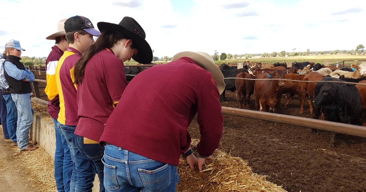 A lack of ag teachers could impact students wanting to pursue a career in agriculture, AgForce says