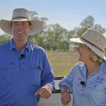 Wagga Wagga saleyards labelled as a ‘pigsty’ with calls for upgrade | The Land