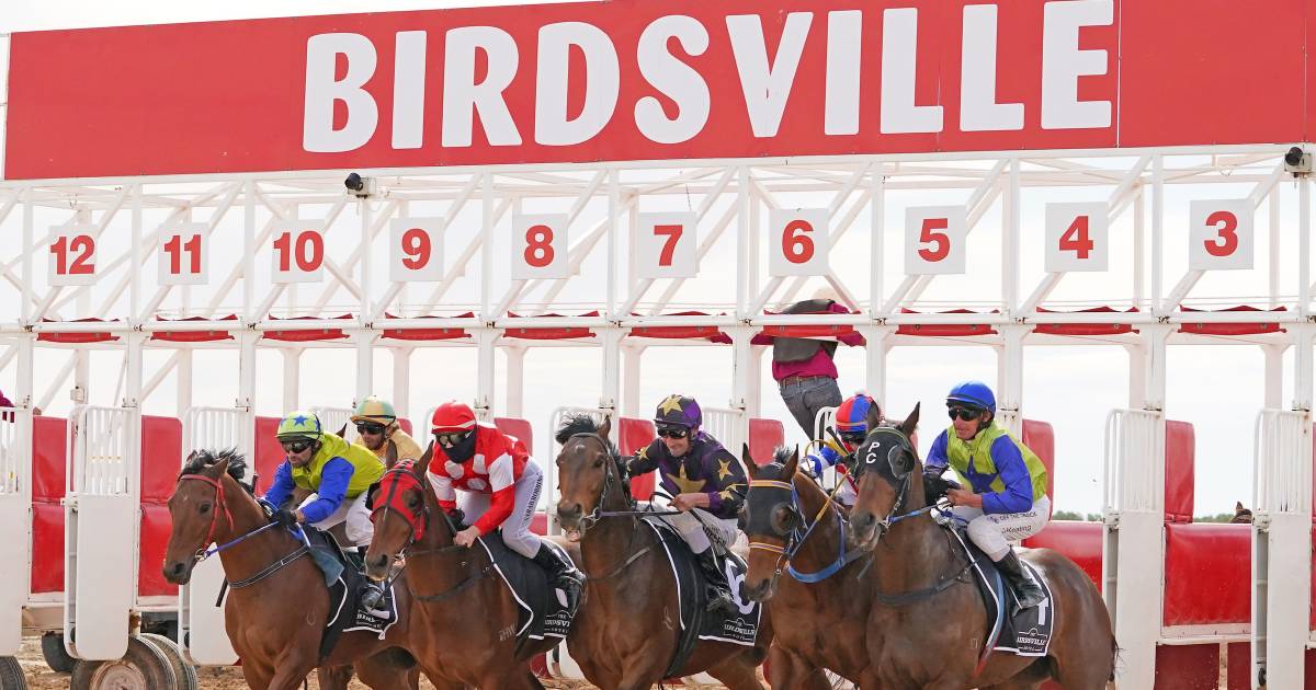 Partnership to promote sustainable and respectful travel to the Birdsville Races