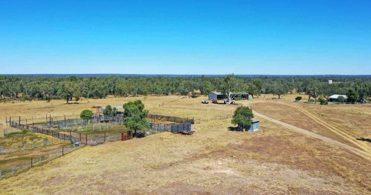 Top notch Central Queensland property Yatton back on the market | Queensland Country Life